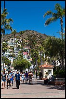 Street near waterfront, Avalon Bay, Santa Catalina Island. California, USA (color)