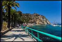 Waterfront promenenade, Avalon Bay, Catalina. California, USA (color)