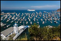 Avalon harbor from above, Avalon Bay, Catalina Island. California, USA ( color)