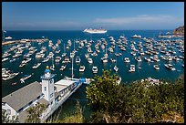 Avalon harbor from above, Avalon Bay, Catalina Island. California, USA (color)