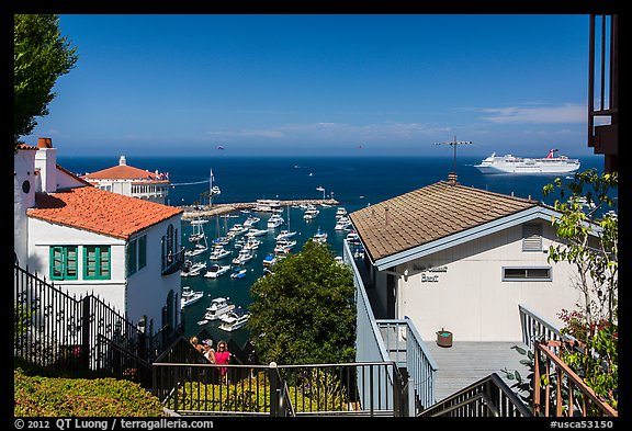 Stairs between residences overlooking harbor, Avalon, Catalina. California, USA