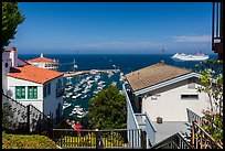 Stairs between residences overlooking harbor, Avalon, Catalina. California, USA (color)