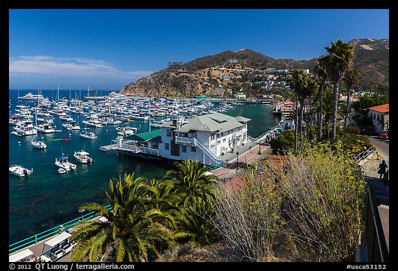 Harbor and waterfront, Avalon Bay, Catalina Island. California, USA (color)