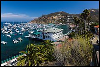 Harbor and waterfront, Avalon Bay, Catalina Island. California, USA ( color)