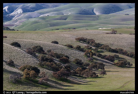 Gentle hills and trees near King City. California, USA (color)