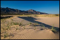 On Kelso Sand Dunes. Mojave National Preserve, California, USA ( color)