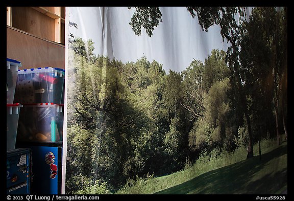 Nature decor and boxes of gear, Paramount Pictures Studios. Hollywood, Los Angeles, California, USA (color)