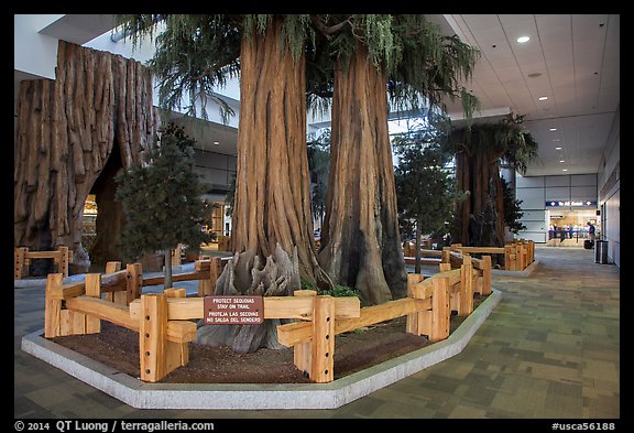 National park exhibit in concourse, Fresno Yosemite Airport. California, USA (color)