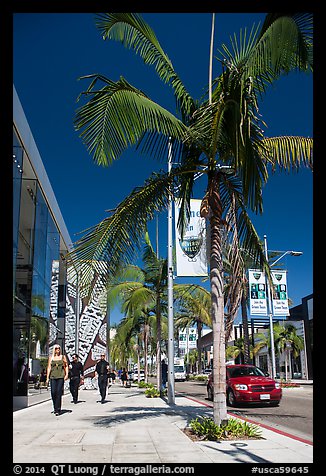 Rodeo Drive. Beverly Hills, Los Angeles, California, USA (color)