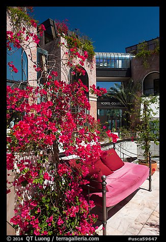 Red flowers and bench with pillows in shopping area. Beverly Hills, Los Angeles, California, USA (color)