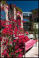 Red flowers and bench with pillows in shopping area. Beverly Hills, Los Angeles, California, USA ( color)