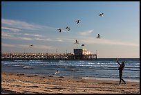 Woman and seagulls in front of Newport Pier. Newport Beach, Orange County, California, USA ( color)