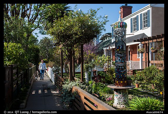 Man walking dogs in alley. Venice, Los Angeles, California, USA (color)