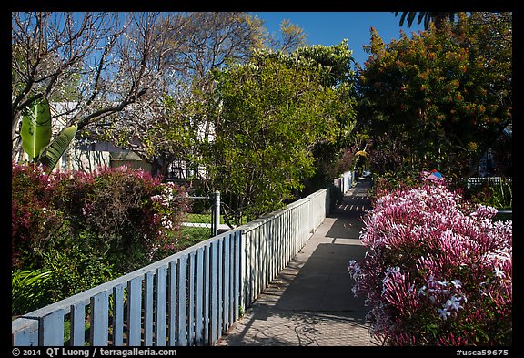 Pedestrial residential alley in springtime. Venice, Los Angeles, California, USA (color)