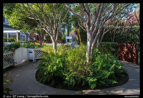 Trees in the center of pedestrian roundabout. Venice, Los Angeles, California, USA (color)