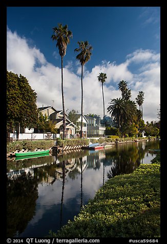 Houses, boats, and palm trees along canal. Venice, Los Angeles, California, USA (color)