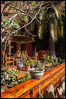Front deck with potted plants. Venice, Los Angeles, California, USA ( color)