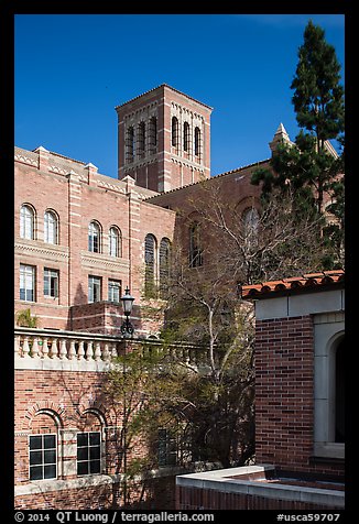 University of California at Los Angeles, Westwood. Los Angeles, California, USA (color)