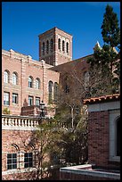 University of California at Los Angeles, Westwood. Los Angeles, California, USA ( color)