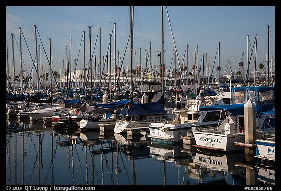 Queen Mary seen behind yachts in marina. Long Beach, Los Angeles, California, USA (color)