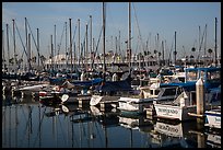 Queen Mary seen behind yachts in marina. Long Beach, Los Angeles, California, USA ( color)