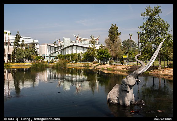 Trapped Mastodon sculpture, La Brea Tar Pits. Los Angeles, California, USA (color)