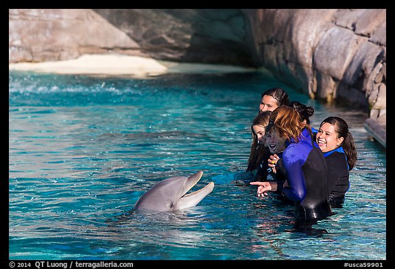 Guests interact with dolphin. SeaWorld San Diego, California, USA (color)