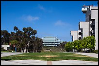 Campus perspective with Fallen Star and Geisel Library, University of California. La Jolla, San Diego, California, USA ( color)