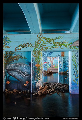 Underpass with mural of marine life, Leo Carrillo State Park. Los Angeles, California, USA (color)