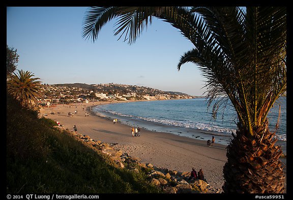 Beach framed by palm tree. Laguna Beach, Orange County, California, USA (color)