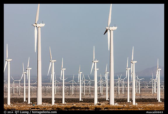Wind farm, San Gorgonio Pass. California, USA (color)