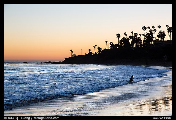 Beach at sunset with silhouettes of palm trees and beachgoer. Laguna Beach, Orange County, California, USA (color)