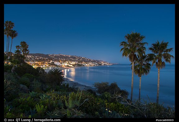 View from park at night. Laguna Beach, Orange County, California, USA (color)