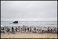 Vistors explore tidepools, Leo Carillo State Beach, Santa Monica Mountains NRA. Los Angeles, California, USA ( color)
