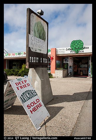 Giant Artichoke Produce store, Castroville. California, USA (color)