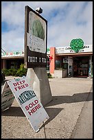 Giant Artichoke Produce store, Castroville. California, USA ( color)
