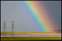 Rainbow, orchard in bloom, and power lines. California, USA ( color)