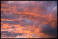 Clouds at sunset. California, USA ( color)