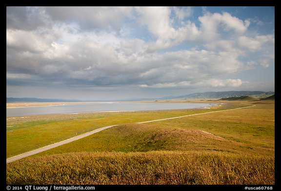 Road and Soda Lake. Carrizo Plain National Monument, California, USA (color)