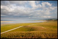 Road and Soda Lake. Carrizo Plain National Monument, California, USA ( color)