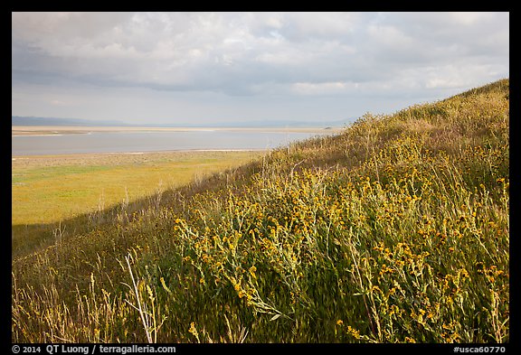 Butte in the spring and Soda Lake. Carrizo Plain National Monument, California, USA (color)