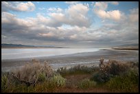 Soda Lake, late afternoon. Carrizo Plain National Monument, California, USA ( color)