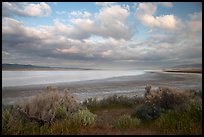 Soda Lake, late afternoon. Carrizo Plain National Monument, California, USA ( color)