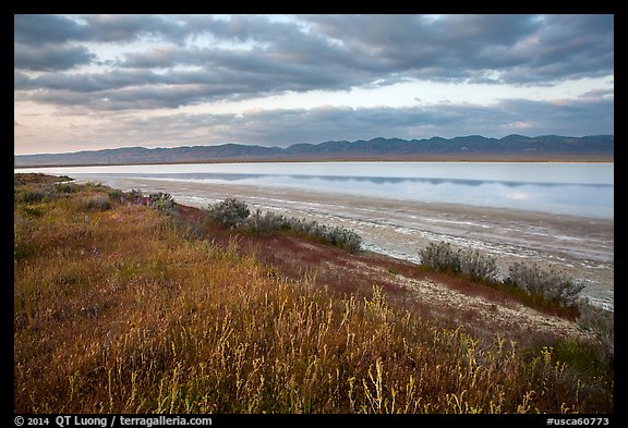 Soda Lake with reflections of Temblor Range. Carrizo Plain National Monument, California, USA (color)