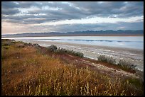 Soda Lake with reflections of Temblor Range. Carrizo Plain National Monument, California, USA ( color)