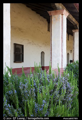 Flowers and gallery, Mission La Purísima. Lompoc, California, USA (color)