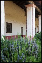 Flowers and gallery, Mission La Purísima. Lompoc, California, USA ( color)