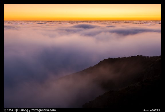 Sea of clouds above the Pacific Ocean at sunset, Garrapata State Park. Big Sur, California, USA (color)
