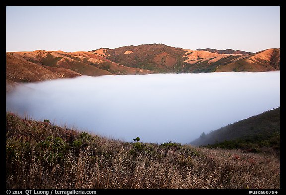 Fog filling up valley at dusk, Garrapata State Park. Big Sur, California, USA (color)