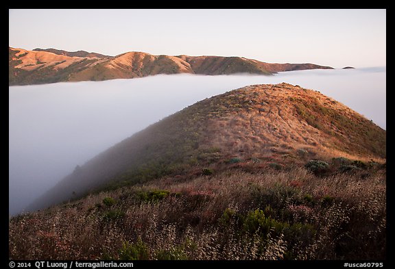 Low below coastal hills, Garrapata State Park. Big Sur, California, USA (color)